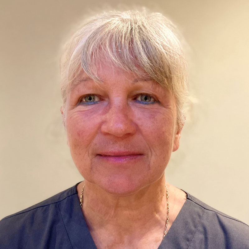 Marjie, Dentist